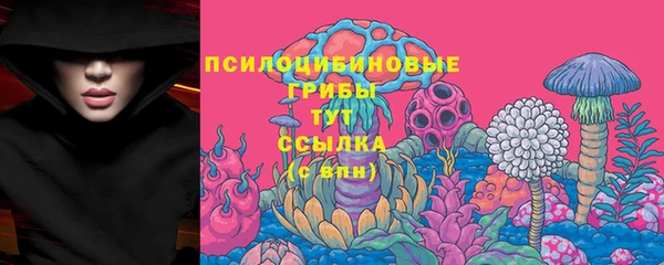 амф Алзамай