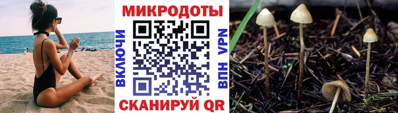 Псилоцибиновые грибы GOLDEN TEACHER  Певек 
